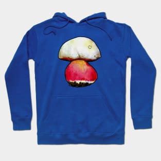 Satan's Bolete Hoodie